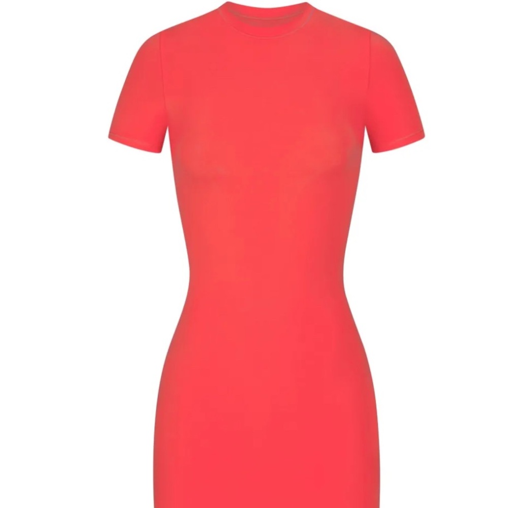 Skims fits everybody T shirt dress